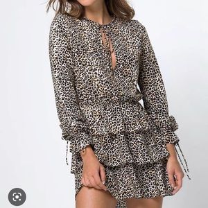 Motel KEPSIBELLE SKATER DRESS IN RAR LEOPARD BROWN